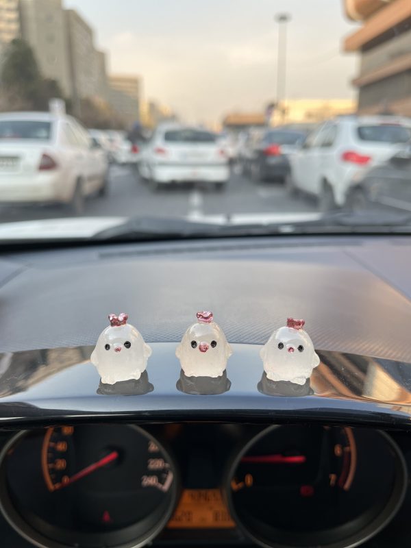 جوجه شبتاب - تصویر 2
